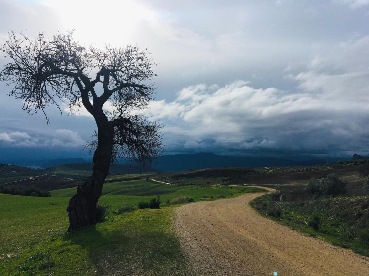 Bed & Breakfast La Sorpresa Valle de Abdalagis